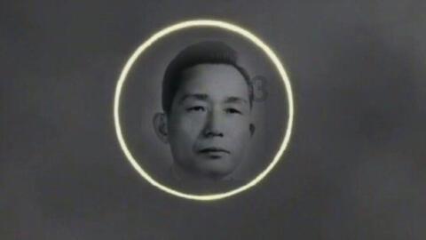 救援达尔马提亚狗